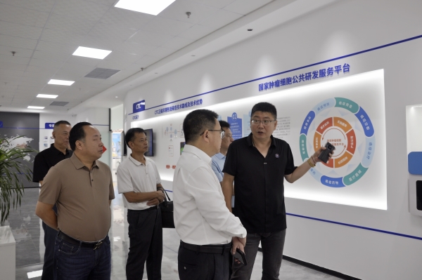 _DSC0041_副本 _DSC0041_副本.jpg