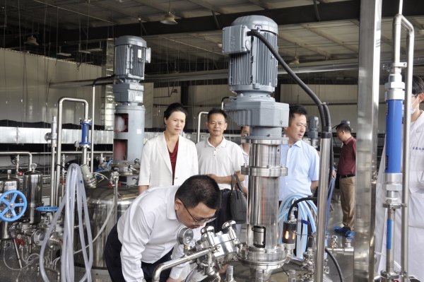 _DSC0065_副本 _DSC0065_副本.jpg