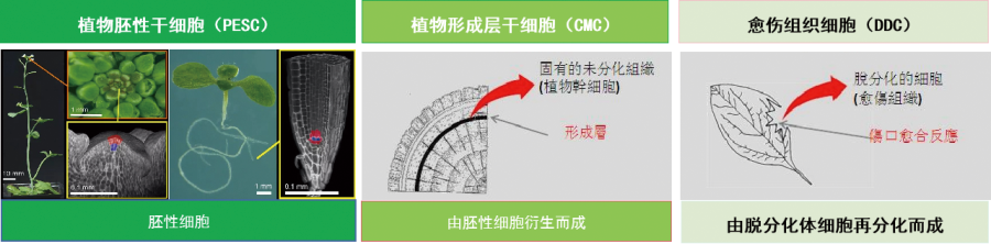产品特性 产品特性.png