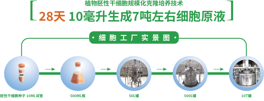 10毫升7吨 10毫升7吨.png