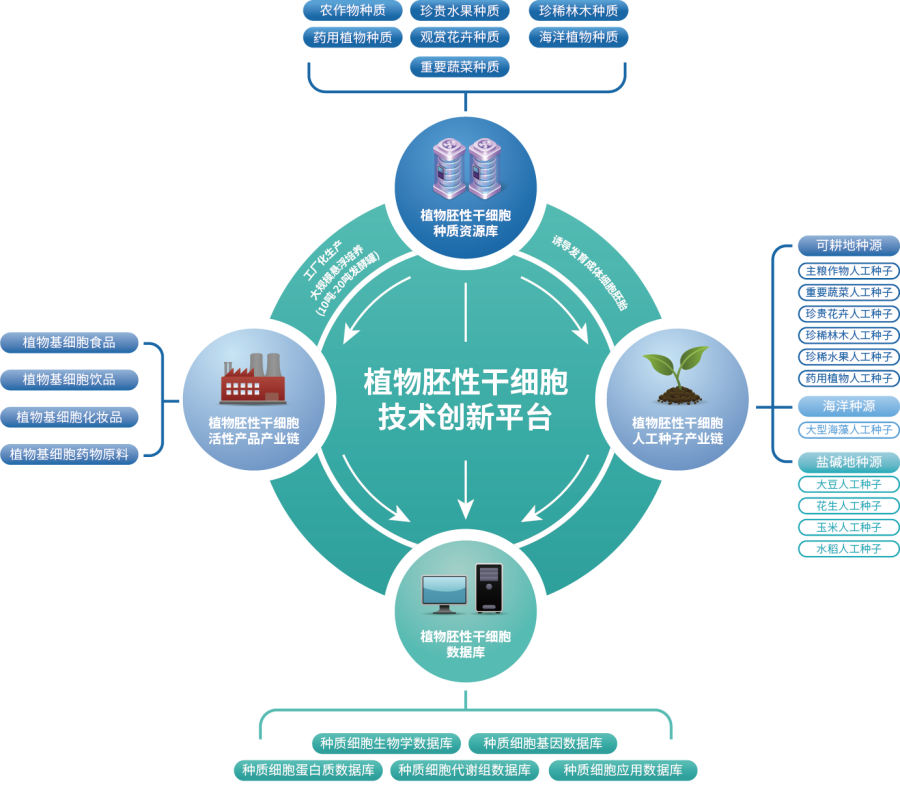 创新平台 创新平台.png