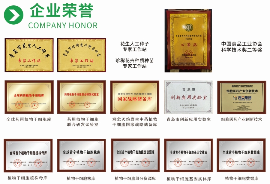 PESC企业荣誉 PESC企业荣誉.jpg