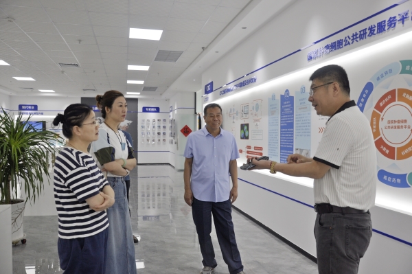 _DSC0028_副本 _DSC0028_副本.jpg