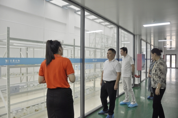 _DSC0035_副本 _DSC0035_副本.jpg