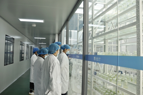 _DSC0096_副本 _DSC0096_副本.jpg