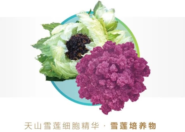 微信图片_20241124090147 微信图片_20241124090147.jpg