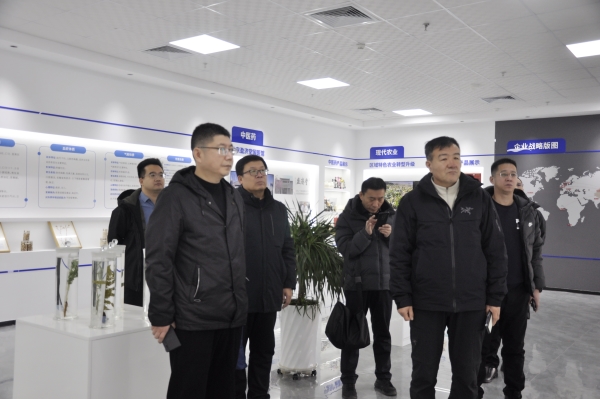 _DSC0002_副本 _DSC0002_副本.jpg