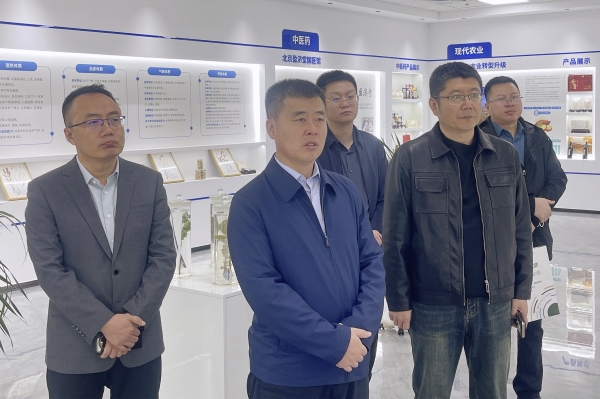 _DSC0067 _DSC0067.jpg