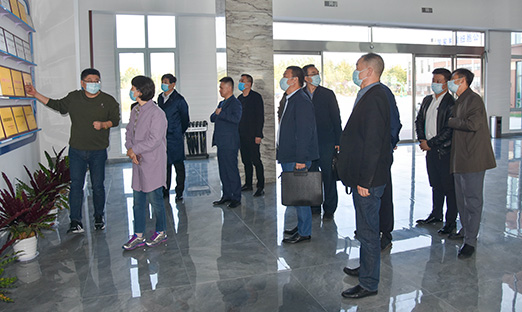 һӭൺй쵼ݰٲιָ