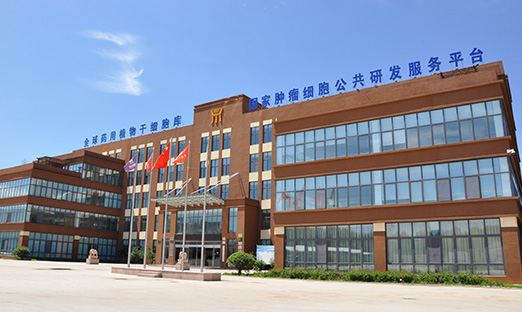 k1Ѷ|ʽҩʳͬԴչַչǱ